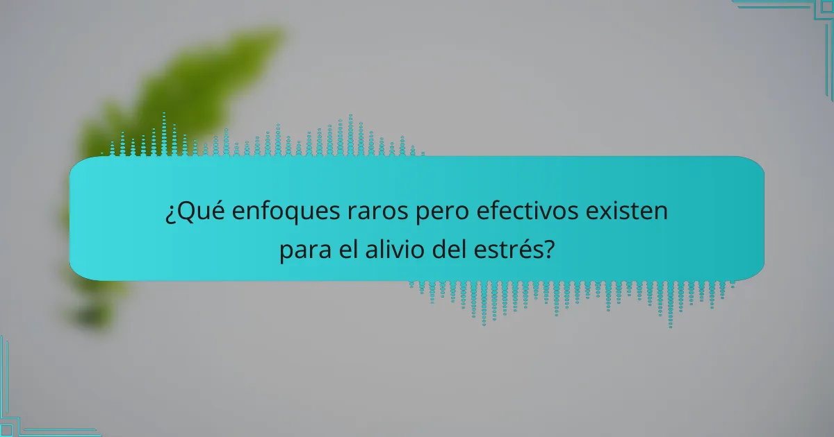 ¿Qué enfoques raros pero efectivos existen para el alivio del estrés?